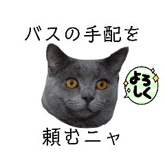 ブリショーつみれの葬儀屋さん　その1