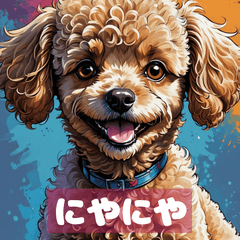 いろいろトイプーの日常