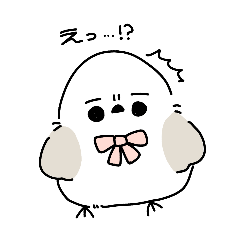 momoenaga ⌇﻿ 2025