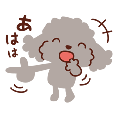 トイプードル色々_ごきげんな日々