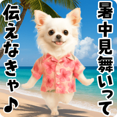 夏の♡エッホエッホ♪アロハチワワ