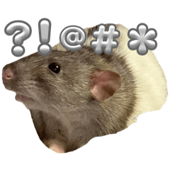 ネズミといっしょ