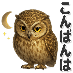 毎日使える！かわいいフクロウ