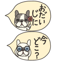 みんなのフレンチブルドッグ　13