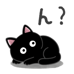 まっくろルー。