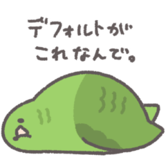 どーでもインコ