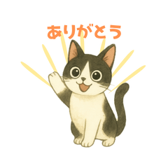 ハチワレ猫♡毎日使える挨拶お返事スタンプ