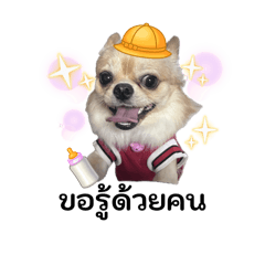 Gamey14_20260105130401