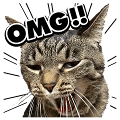 【英語版】BIGな‼︎リアルにゃんこ★