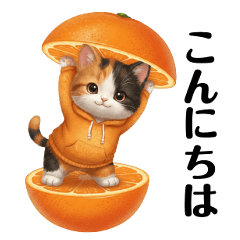 【ずっと使える】みかんな猫