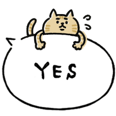 ◯僕とくまとアセアセ気味なネコ達◯