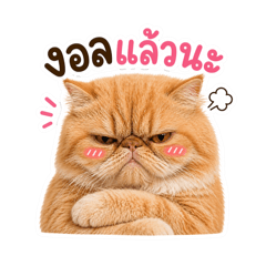 Chertam_20260501144243