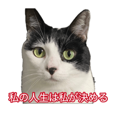 今日のわたしへ♡