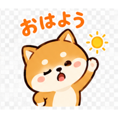 柴犬v1