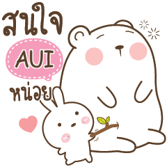 AUI Little Rabbit bully Bear e