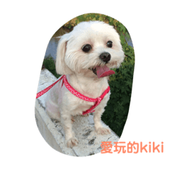 kiki mama_20190415233529