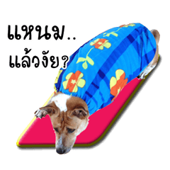 Si-Mog and the Gang V1