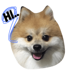 Enjoy tne fun of Mamoo