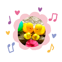 Kayla_20211004095058