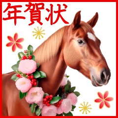 午年 馬 年賀状セット 2026
