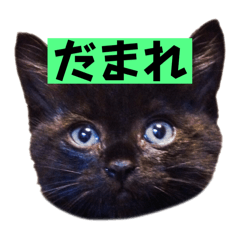 らすちゃんの本音トーク01