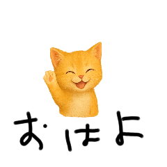 れこにゃんの1日