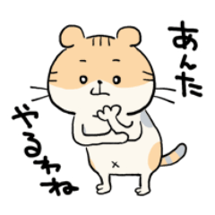 めっちゃほめてくれる猫