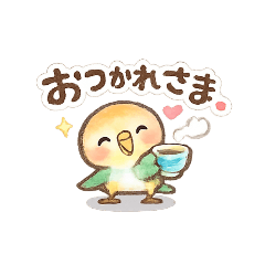 ほんわかシロハラインコの毎日スタンプ