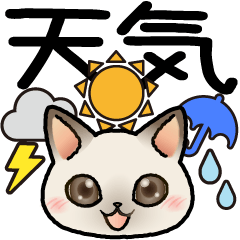 天気をお知らせするはぴきゃとでか文字！