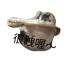 rosie_20260228203937