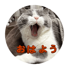 ふくもふ福ちゃん