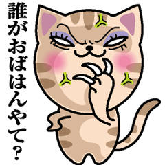 大阪のおばはん猫