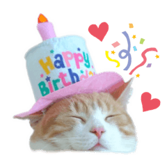 テテ&くぅのにゃんこスタンプ 【1】