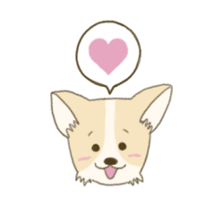 日常で使えるコーギー