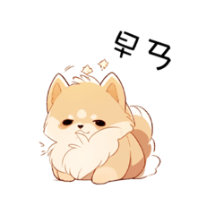 Eason_pomeranian