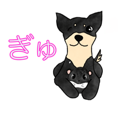 柴犬とハムスター日本語