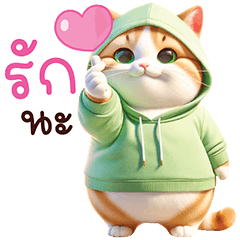 Ma Meow Cute Cat : Loving