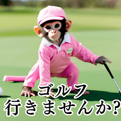 子猿のゴルファー【毎日使える】