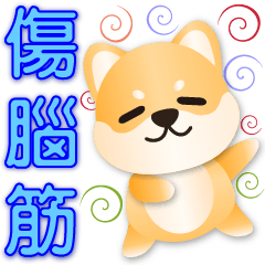 Cute Shiba- Practical daily phrases