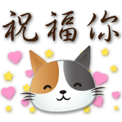 Cute cat- Practical greetings every day