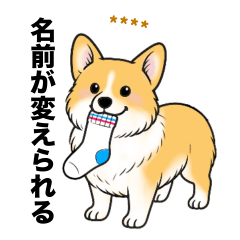 名前入りコーギーしっぽなし