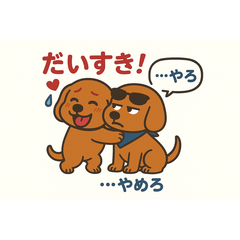 「ホット＆クール」ダックス気まぐれ日常