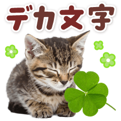 毎日使える♪リアルなにゃんこ2