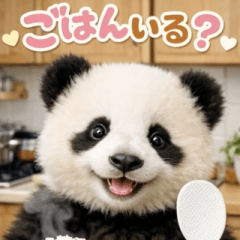 飛び出す♡パンダの家族連絡