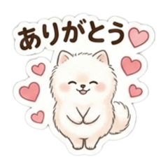 ゆるふわポメラニアンの毎日のあいさつ1