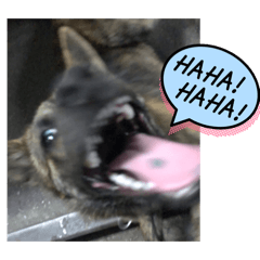 TA TA_20260228224923