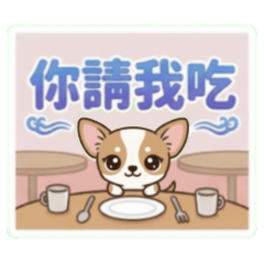 Chihuahua, you treat me to a meal