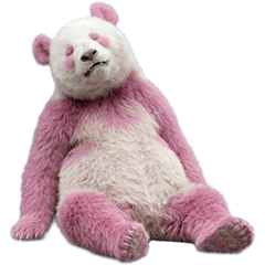 ピンクのパンダ　実写