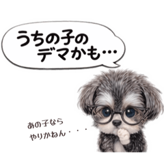 あざとかわいいチワプー5♡ママ友編