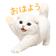 やさしく寄り添うたれ耳白猫スタンプ